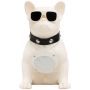 SAL Zvučnik bežični, Bluetooth, FM radio, USB, 5W - BT DOG