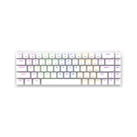 Tastatura gaming RAMPAGE REBEL white, Mechanical, Low Profile, blue switch, US Layout, Rainbow